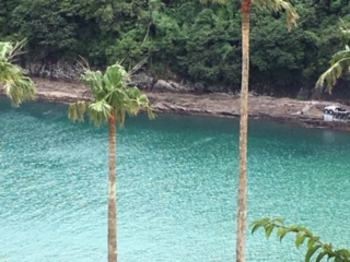 f:id:salii:20190707135815j:plain f:id:salii:20190707135815j:plain