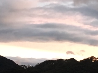 f:id:salii:20190708042524j:plain f:id:salii:20190708042524j:plain