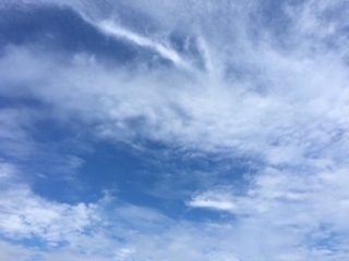 f:id:salii:20190708143015j:plain f:id:salii:20190708143015j:plain