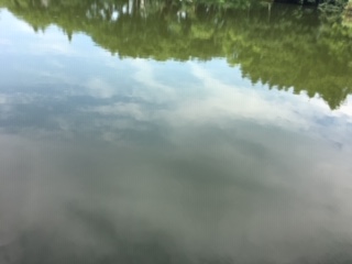 f:id:salii:20190728104639j:plain f:id:salii:20190728104639j:plain