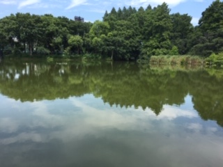 f:id:salii:20190728104649j:plain f:id:salii:20190728104649j:plain