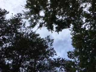 f:id:salii:20190914110326j:plain