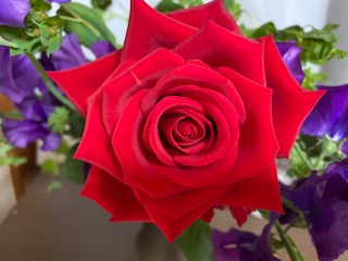 f:id:salii:20220131163736j:plain