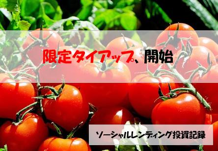 ソーシャルレンディング投資記録