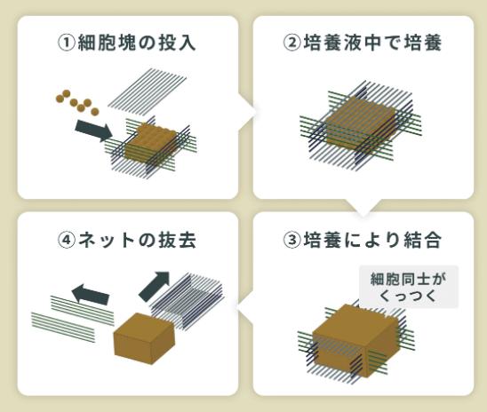 イークラウド ECF