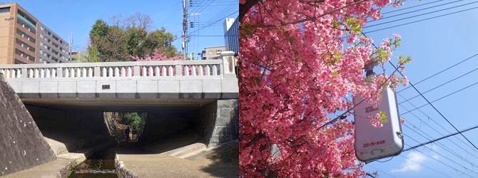COZUCHI コヅチ