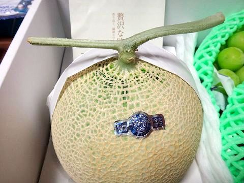 CAPIMA　キャピマ