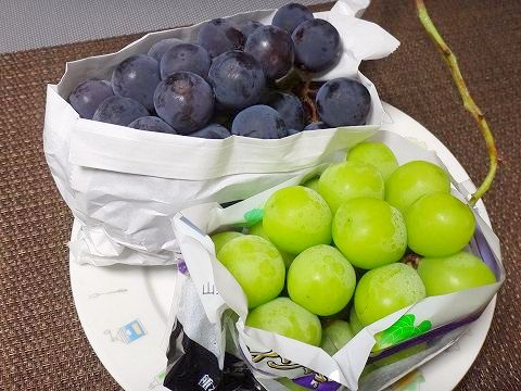 CAPIMA　キャピマ