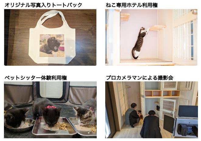 CAPIMA　キャピマ