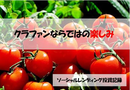 ソーシャルレンディング投資記録