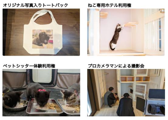 CAPIMA　キャピマ