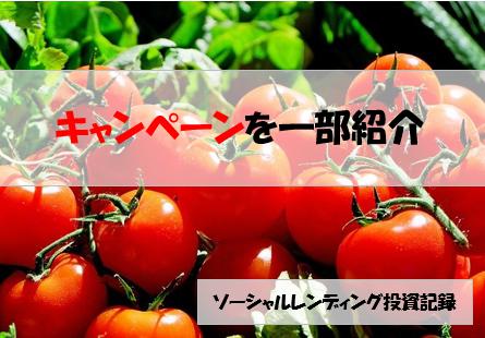 ソーシャルレンディング投資記録