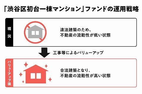 COZUCHI コヅチ