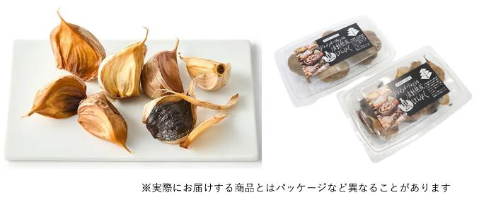 CAPIMA　キャピマ