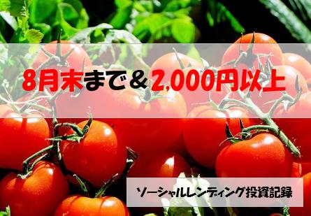 ソーシャルレンディング投資記録