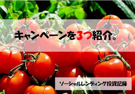 ソーシャルレンディング投資記録