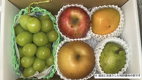 CAPIMA　キャピマ