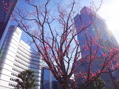 ソーシャルレンディング投資記録