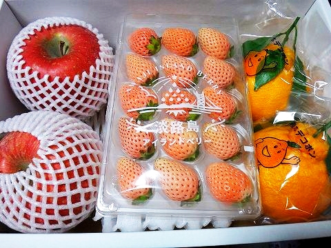 CAPIMA　キャピマ