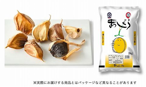 CAPIMA　キャピマ
