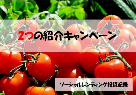 ソーシャルレンディング投資記録
