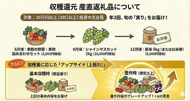 CAPIMA　キャピマ