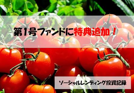 PACIFIC FUND　パシフィックファンド