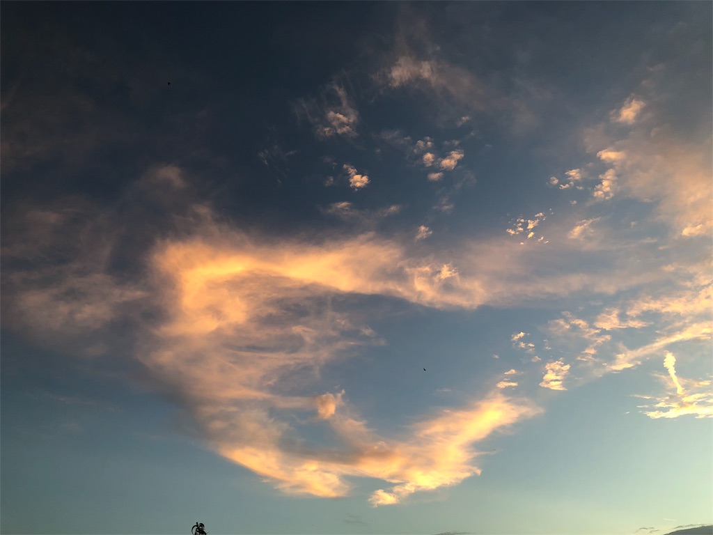 f:id:sally50:20180821211546j:image f:id:sally50:20180821211546j:image