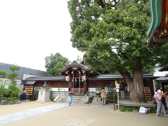 イメージ 7