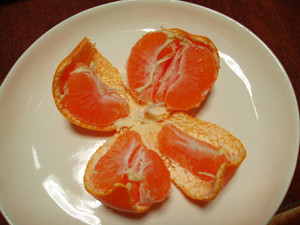 f:id:sallymylove:20091129155602j:image:w250 f:id:sallymylove:20091129155602j:image:w250