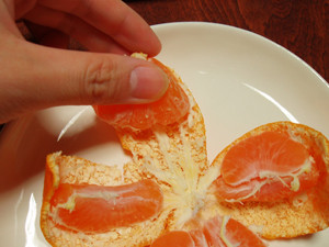 f:id:sallymylove:20091129155625j:image:w250