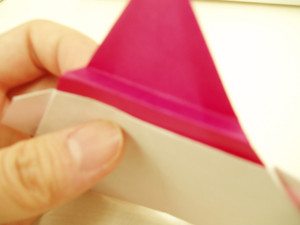 f:id:sallymylove:20091208191010j:image:w200