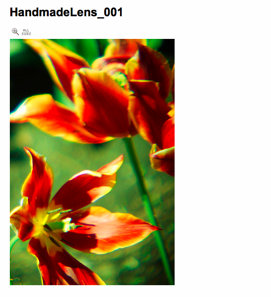 f:id:sallymylove:20100121120612p:image:w300