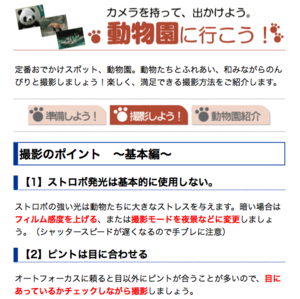 f:id:sallymylove:20100430141746p:image:w200