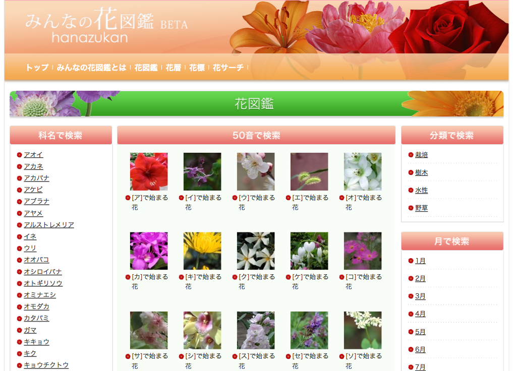 f:id:sallymylove:20100513221114p:image:w200