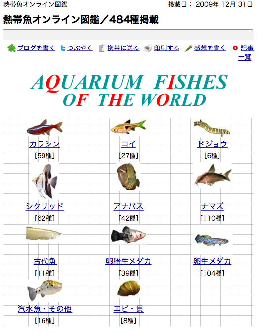 f:id:sallymylove:20100513223137p:image:w200