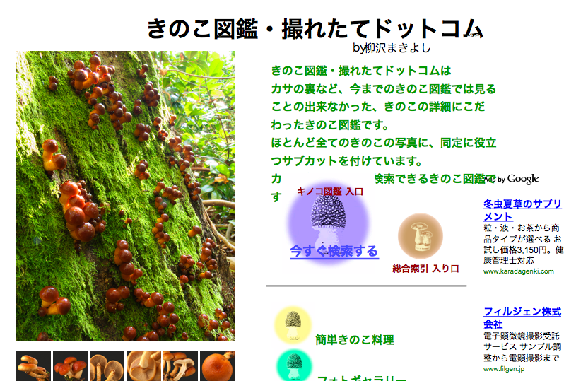 f:id:sallymylove:20100513231341p:image:w200