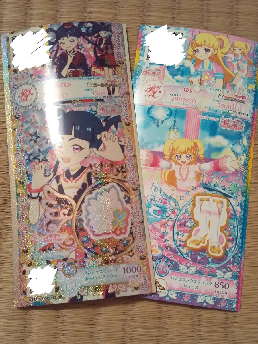 f:id:salmonricenori:20201218223434j:plain