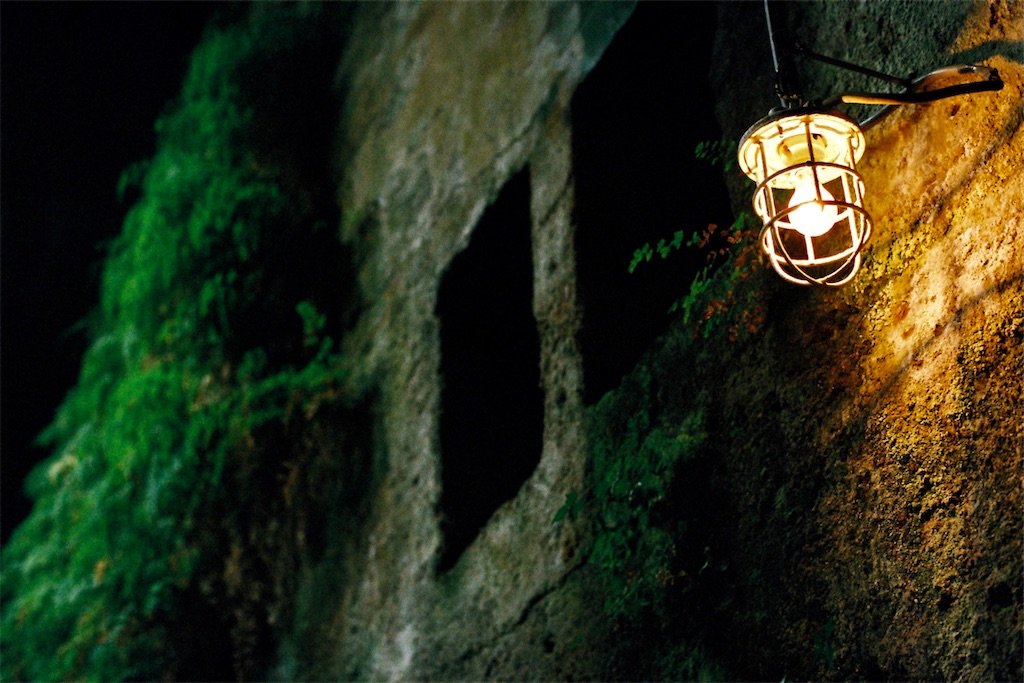 f:id:salomery:20210408103732j:plain