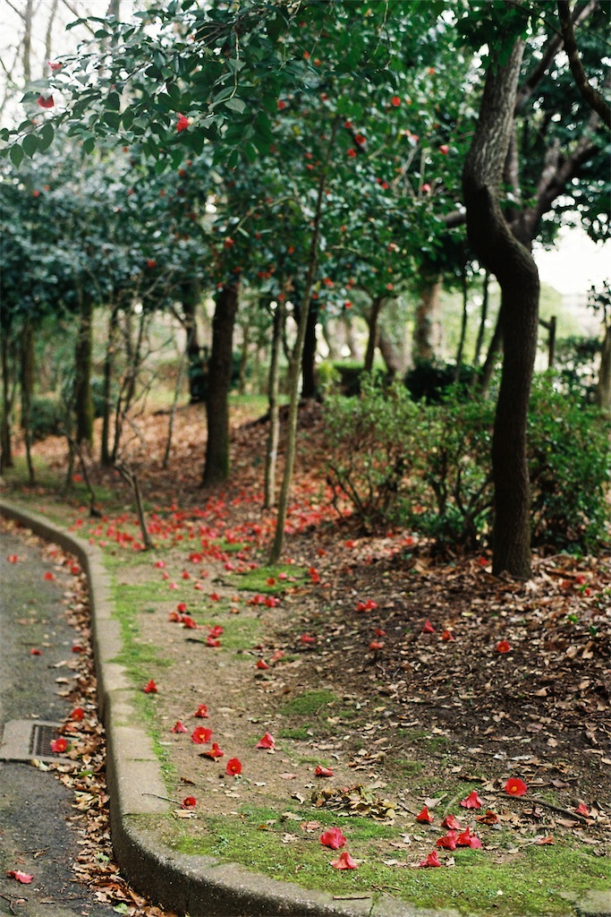 f:id:salomery:20210419203511j:image