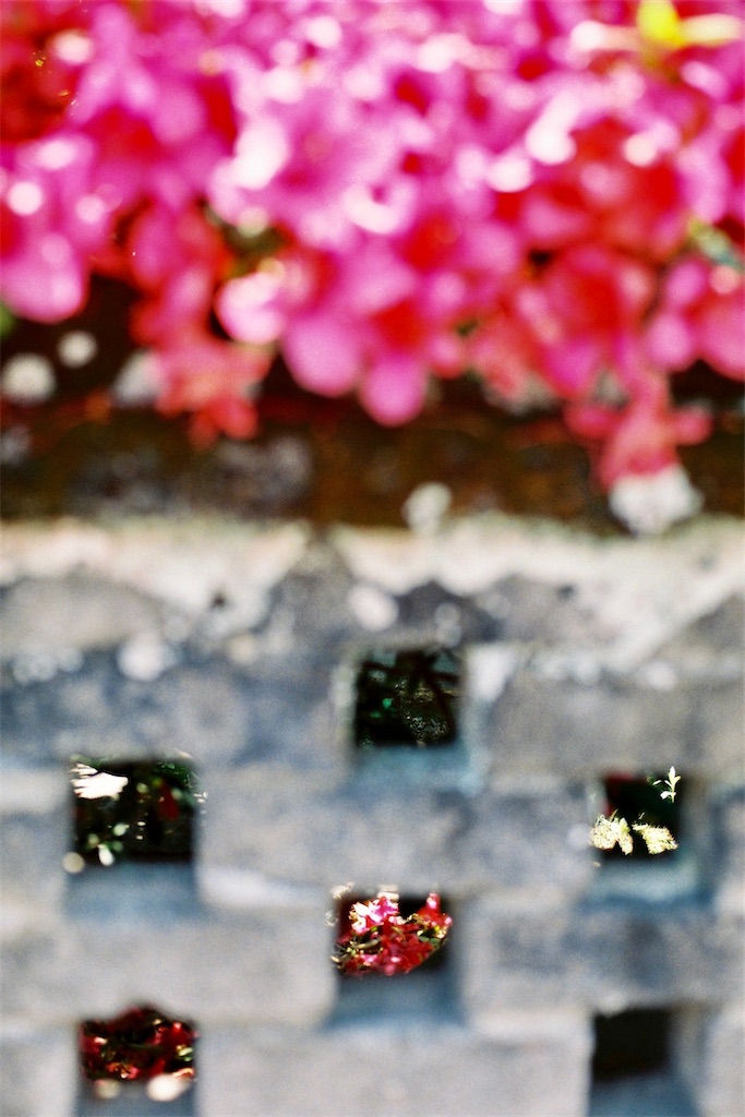 f:id:salomery:20210523135240j:plain