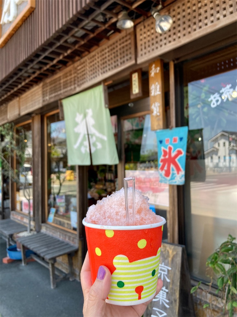 f:id:salomery:20210609165945j:plain