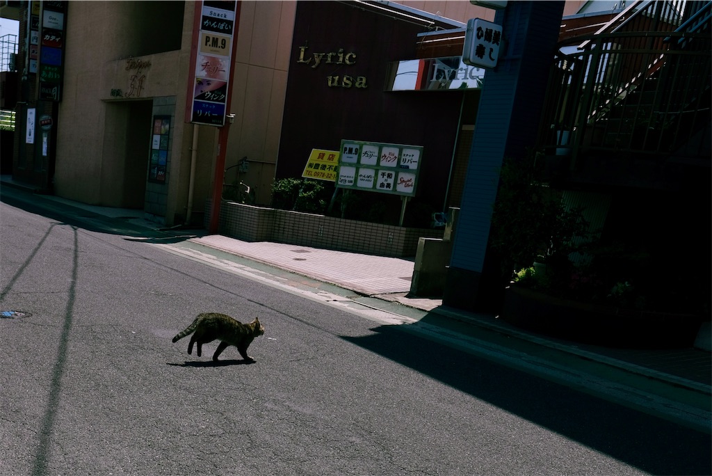 f:id:salomery:20210609193807j:image f:id:salomery:20210609193807j:image