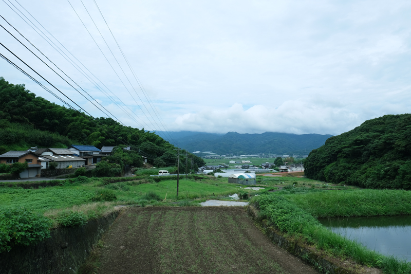 f:id:salomery:20210808132339j:plain