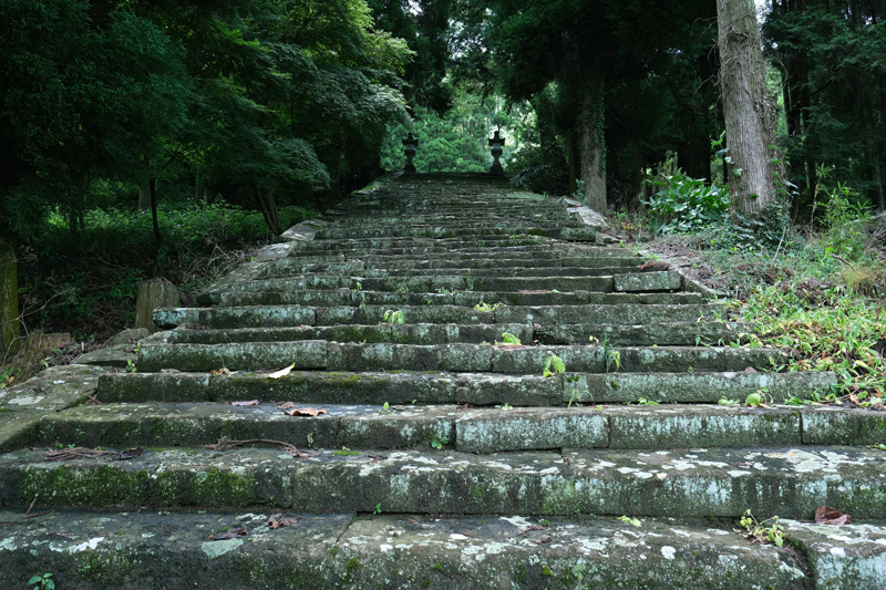 f:id:salomery:20210808132518j:plain