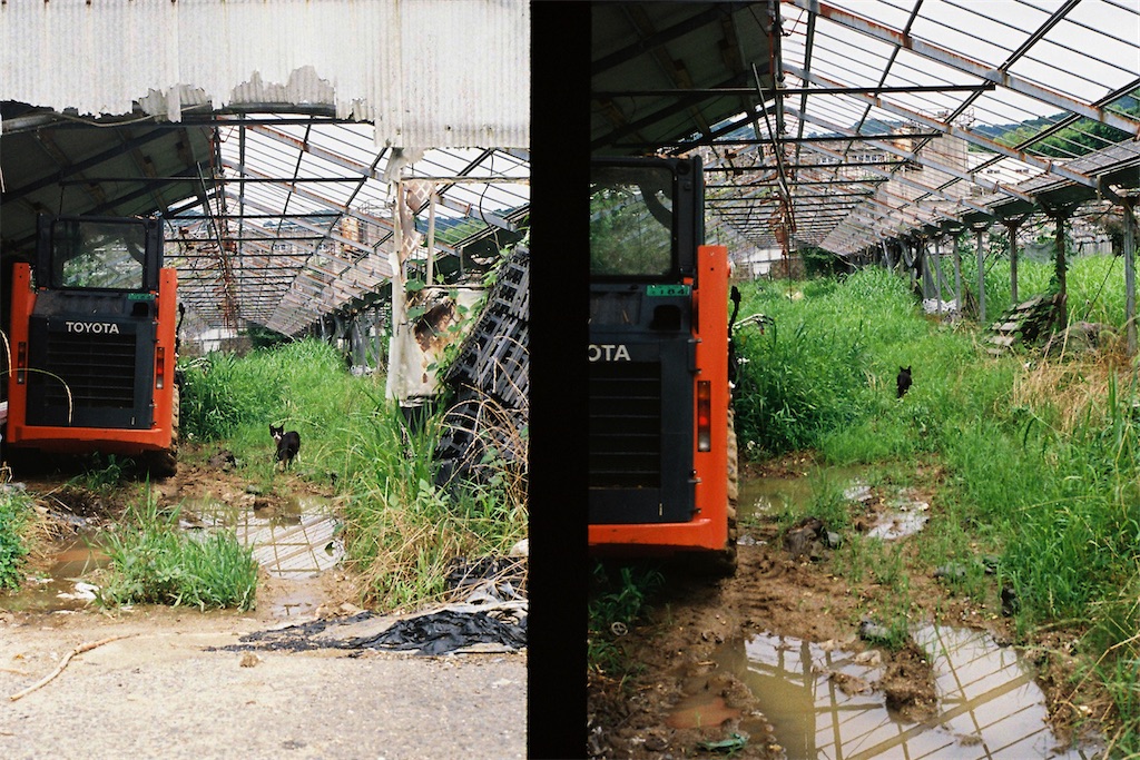 f:id:salomery:20210808152335j:plain