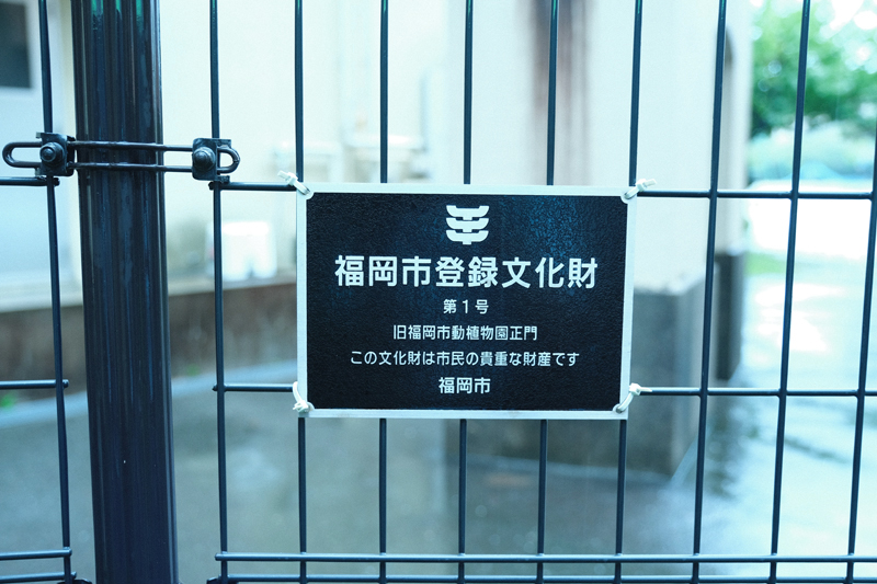 f:id:salomery:20210815180311j:plain