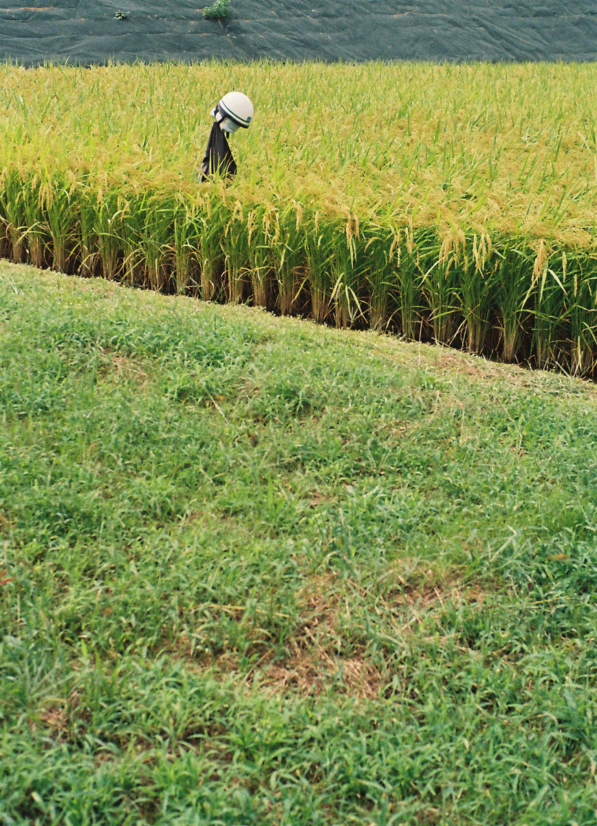 f:id:salomery:20210929213606j:plain