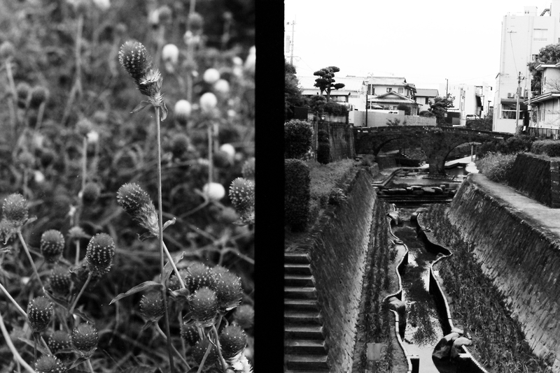 f:id:salomery:20210929231842j:plain