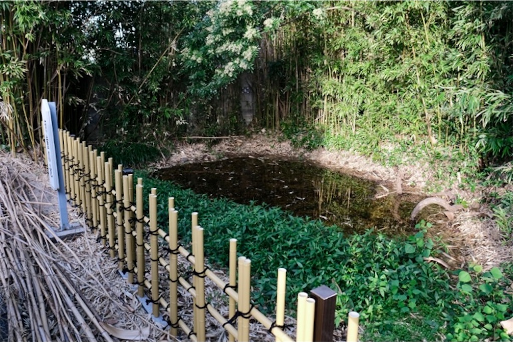 f:id:salomery:20211021123352j:plain